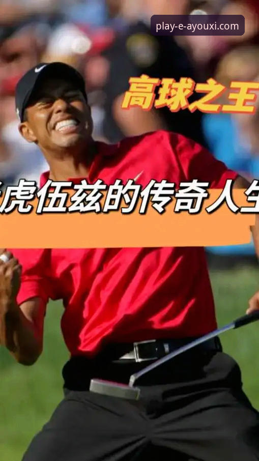 老虎伍兹药物影响驾驶事件详解：从赛场传奇到法律挑战